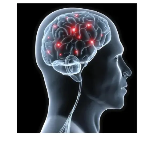 Brain Savior reviews